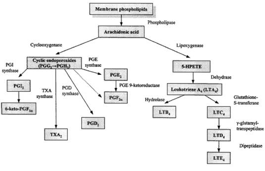 http://iv.iiarjournals.org/content/26/3/381/F1.large.jpg