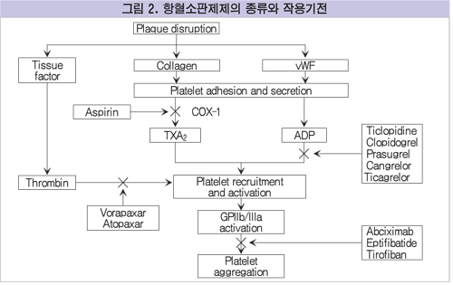 http://manage.medicalobserver.co.kr/FileUpLoad/ifolder/31-3%282%29.gif