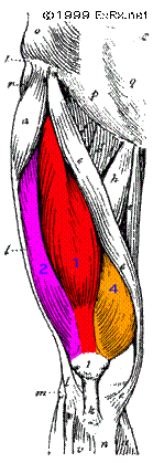 ̹ Ŭϸ    ֽϴ.