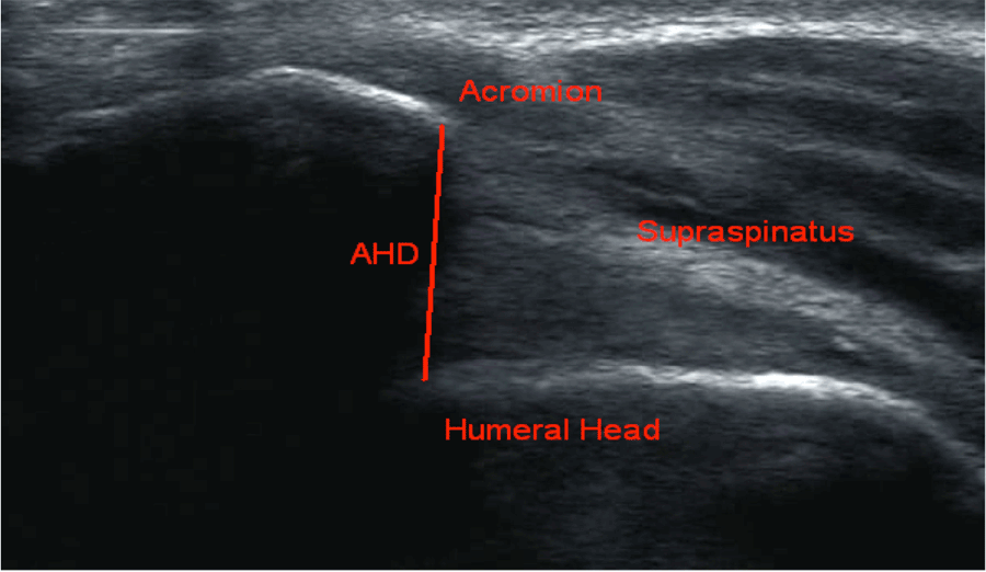Figure1.png