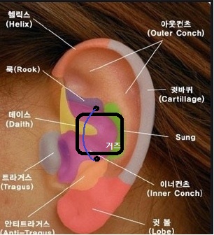 ear2.jpg