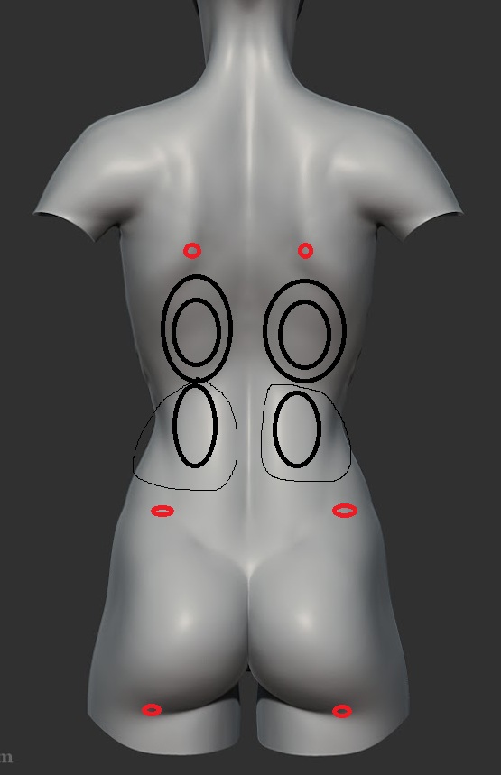 back ls.jpg