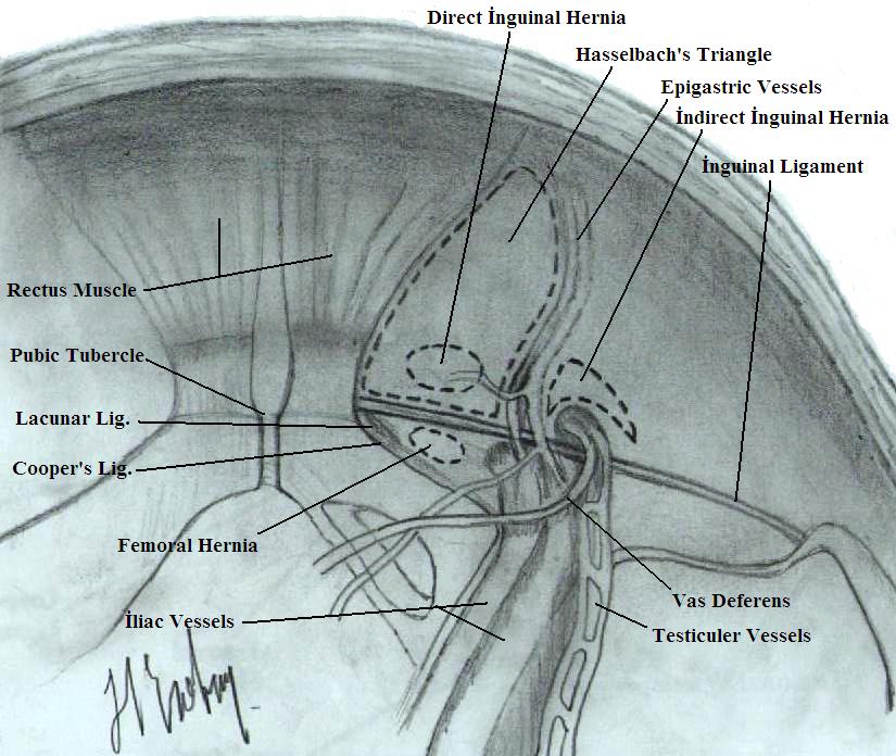 image1.jpg